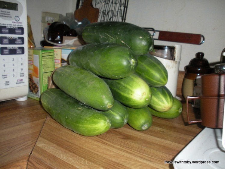 multiple cukes