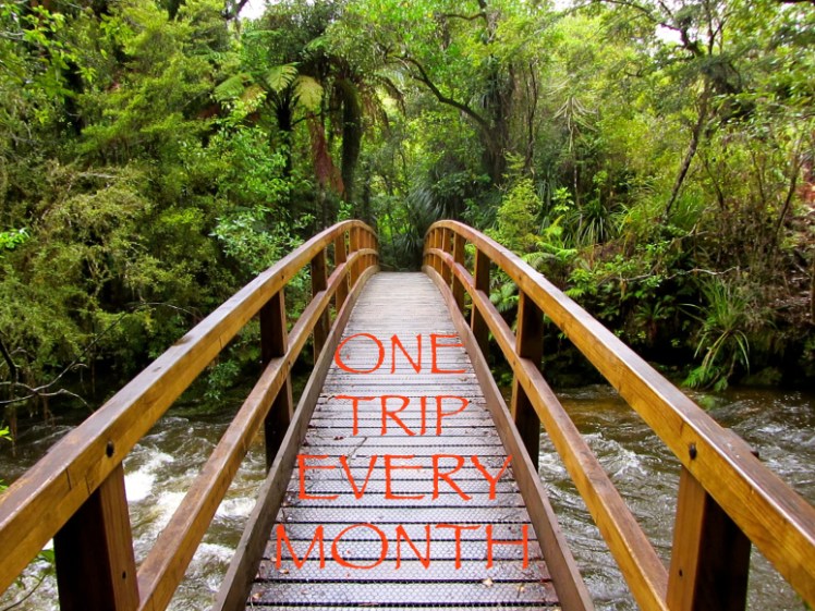 one trip every month